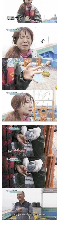 イカに噛まれた記者の妹が復讐する