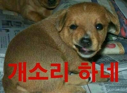 「」「「私には子宮が二つあるんです…たとえ二人の男性と同時に出会っても不倫ではありません。」」」