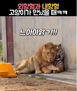 (SOUND)外向的な人と内向的な人が出会うとき