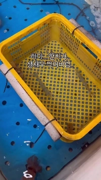 (SOUND)刺身店で起きた惨事