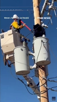 (SOUND)電柱に登ったクマを救出ㄷㄷ.mp4