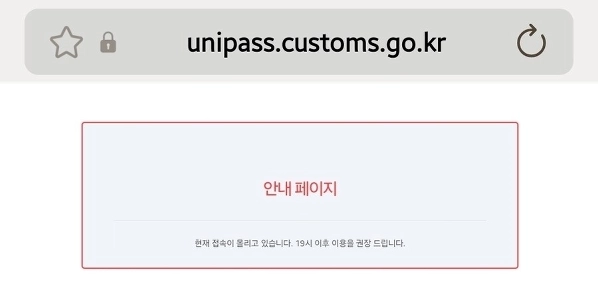 税関サービス: 紛失しました