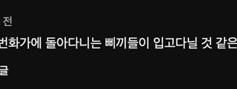 ソン・シギョンが日本のバラエティ番組に出演、韓国国民の反応