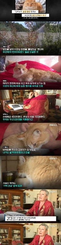 隣家に侵入してウンチした猫を自宅軟禁＋罰金＋西洋猫ママ