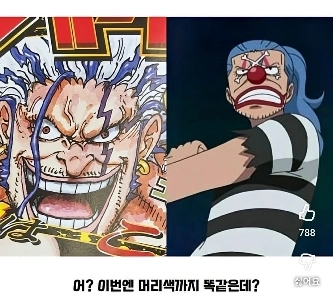 最近バギーDの家族が話題です。jpg