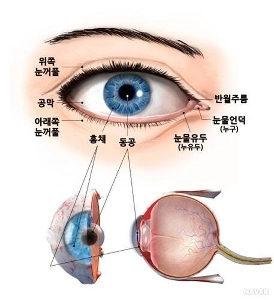 人体のもう一つの謎が発見されました：乳首