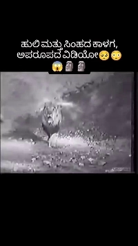 (SOUND)ライオン対トラ