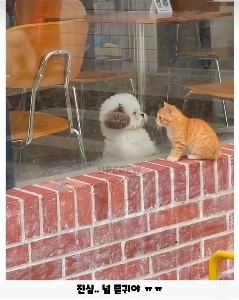 世界の無害なツーショット