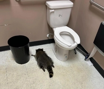 「」「瓶を割ってめちゃくちゃにしてしまった」衝撃の犯人の正体！