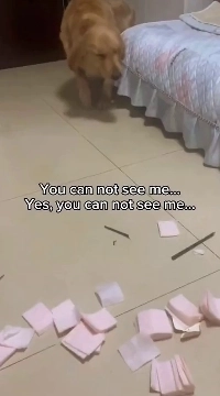 (SOUND)目を閉じれば飼い主に気づかれないと思っている犬。