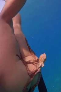 (SOUND)ㅇㅎ) 海女さんのお尻にくっついたタコ。