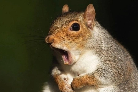 死の存在に関するイム・ソングン海兵隊師団司令官の発言は、軍事訓練の基礎を無視している。