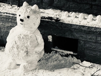 今日の雪だるま、バッドベア