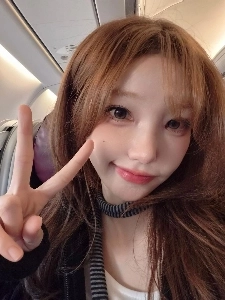 クウェルマゼンタ