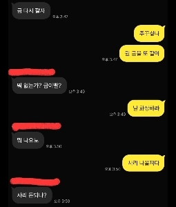 マナさんは無保険車と4重衝突を起こし、罰金を全額支払った。