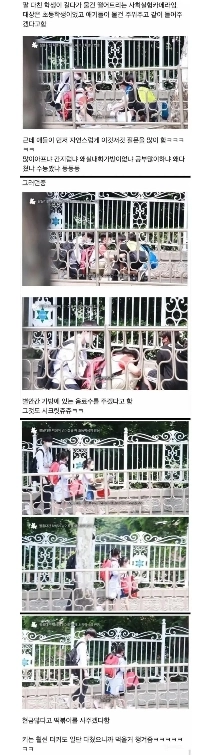 腕を負傷して転んだ高校生を見た小学生の反応