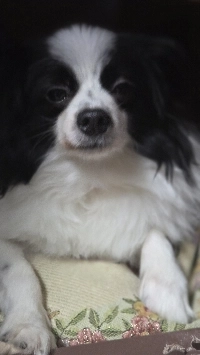 今日起きた芸能人のスキャンダルのせいで目を曇らせた野郎。