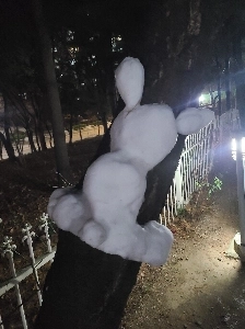 近況）今朝載せた木鉦（？）笑