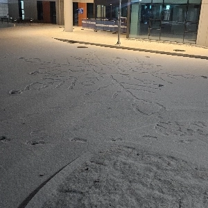 鬼にならないと殺される。