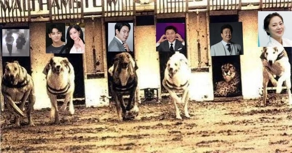 最新号競合状況