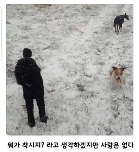 騙されずにはいられない目の錯覚写真