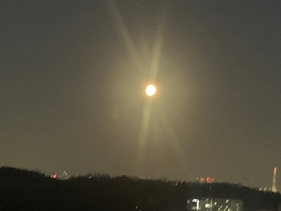 月がとても綺麗に見えました