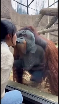 (SOUND)夫の浮気に気づいた妻。