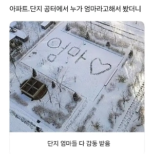 団地のお母さんたちを感動させたもの