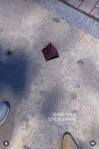 最近、最新のチラシをついつい見てしまいます。