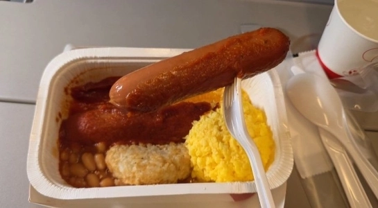 仁川からドイツまでの直行便の料金は片道の食事に相当する19万ウォンだ。