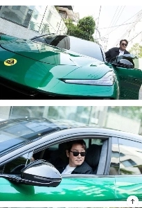 獲物を狙うたくましい馬。