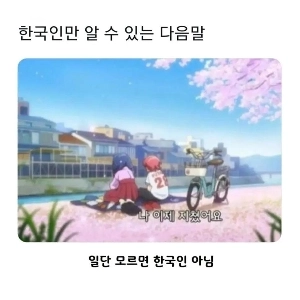 韓国人だけが知っている次の言葉: