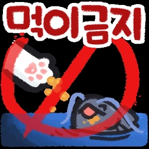 チョ・ジヌンさんへの思い