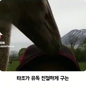 (SOUND)ダチョウが特に優しくしてくれる人のタイプ