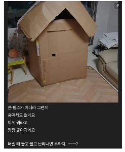 娘のために家を建てた父親。