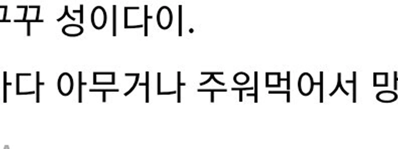 道にあるものを拾う犬への対策