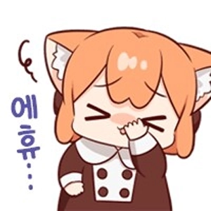 韓国の警察の現状