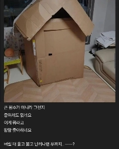 父親は余裕があったので娘に家を買ってあげました（笑）。