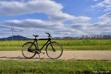 なぜ自転車を買うだけでは不十分なのか。