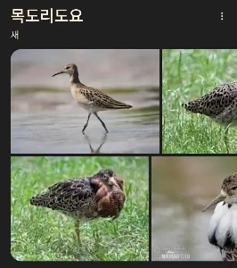 寒いので耳栓をしてください。