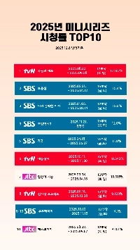 25年間ミニ連続ドラマ視聴率ランキング