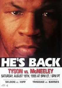 「チョ・ジヌン＝マイク・タイソン」類似事件