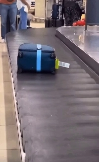 空港で男性の注目を集めるスーツケース。