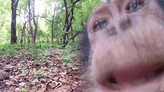 日本のVRポルノにはいつもこういうのが登場する