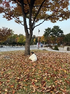 星が輝いていると思った（笑）