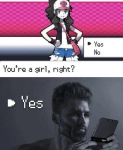 メスのポケモンを選ぶ際の特別な考慮事項