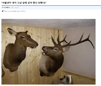 ビッチ、私は今家にいるべきだと言いましたか？