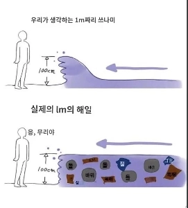 なぜ1メートルの津波でも危険なのか