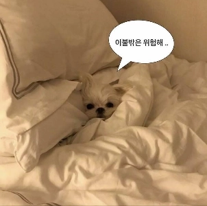 冬の朝によく感じること