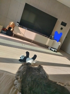 私のリビングルーム